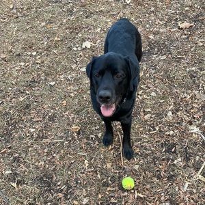 Meet your Posher, Colleen